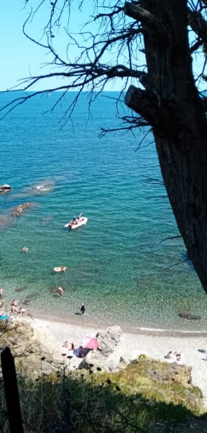 Randonnée en bord de mer à Collioure - Argelès-sur-Mer - 22