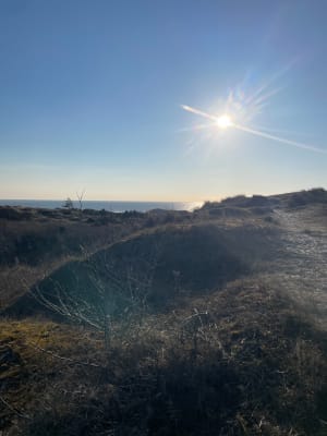 Forêt d’Ecault - Saint-Étienne-au-Mont - 12