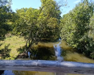 Boucle Coulon - Irleau - La Garette - Coulon - 7