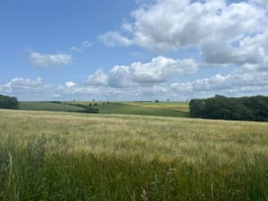 Quel beau sentier le Saint Benoît ! - Huclier - 5