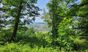 Du Parc du Chasseur au Parc du Minois - Saint-Genest-Lerpt - 6