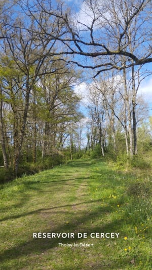 Tour du réservoir de Cercey - Thoisy-le-Désert - 2