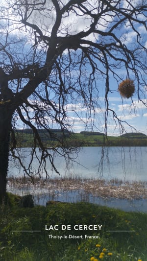 Tour du réservoir de Cercey - Thoisy-le-Désert - 3