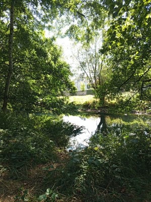 Par le Bois de la Liche et Chaume du Puits - Valence-en-Poitou - 7