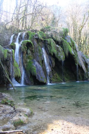 Wandel naar de Tufs-waterval en de kleine Cuisance-bron - Les Planches-prés-Arbois - 52