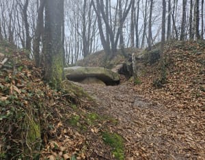 Dolmen du Pouey-Mayou - Bartrès - 10