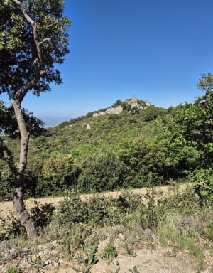 Belle balade dans les Dentelles de Montmirail - Beaumes-de-Venise - 25