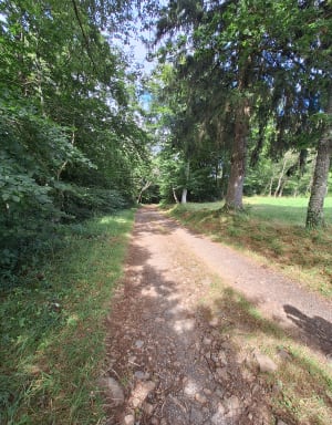 Autour de Chanat-la-Mouteyre - Chanat-la-Mouteyre - 23