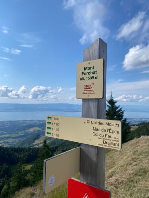 Balade au Mont Forchat - Lullin - 11
