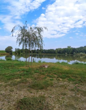 Domaine des druides à  La Genete - La Genête - 9