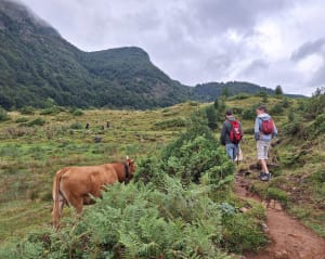 Boucle de l'étang de Lers : sentier découverte faune flore - Sentenac - 5