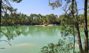 Ontspannen rond het Blauwe Meer - Cestas - 3