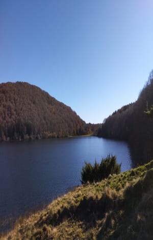 Du Pavin à Montcyneire en boucle - Besse-et-Saint-Anastaise - 44