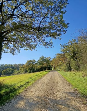 Boucle des 2 chapelles - Montcey - 11
