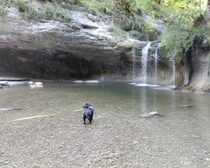 Cascades du Hérisson - Menétrux-en-Joux - 5