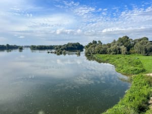 Entre deux ponts - Mauves-sur-Loire - 5