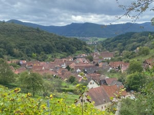 Villé et Albé, histoire du vin - Villé - 7