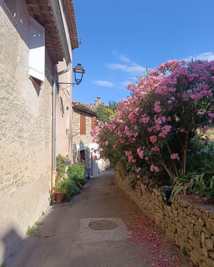 Charmes du sud, entre Apt et Saignon - Apt - 4
