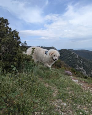 Cederbos, Portalas, Grot van het Verzet: Luberon - Bonnieux - 6