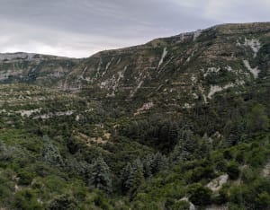 Le Cirque de Navacelles et les moulins de la Foux - Saint-Maurice-Navacelles - 5