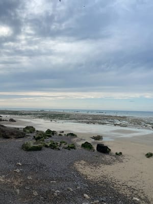 Entre plage et bois à Varengeville - Varengeville-sur-Mer - 4