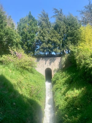 Tour du bassin de Saint-Ferréol et déconnexion assurée - FRANCOIS PATRICE - 3