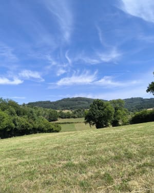 Balade à Gibles à la Combe - Gibles - 6