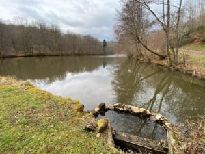 Le sentier des étangs et des fontaines - philippe - 2