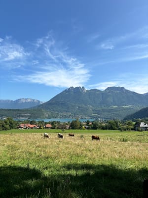 Boucle de Saint-Jorioz par le lac à vélo - Saint-Jorioz - 4