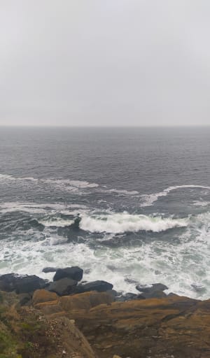 Pointe Kerhermen et sa côte rocheuse sauvage - Kerfany-les-Pins - 4
