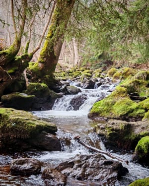 Korte wandeling langs de Chiloza-waterval - Besse-en-Chandesse - 11