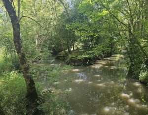 À travers les canaux du marais et ambiance unique à Arçais - Arçais - 4
