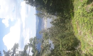 Belvédère et cascade de Mérelle - Gérardmer - 20