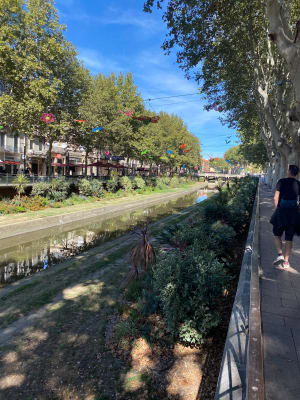 Perpignan la Catalane et déambulation dans le passé - Perpignan - 23
