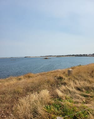 Petite balade sur la côte sauvage de Quiberon - Saint-Pierre-Quiberon - 4