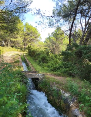 Aquaducten van de Alpilles en een wandeling in de open lucht - Paradou - 4