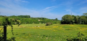 Tour de la La Hayette - Saint-Martin-Boulogne - 2