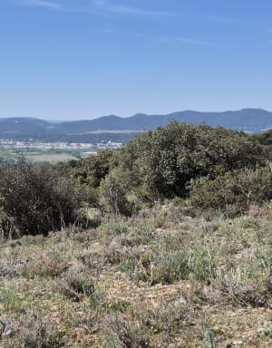 Rando a Piolenc - Piolenc - 12