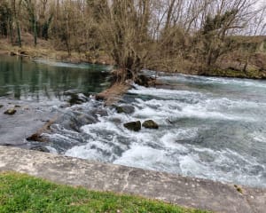 De grote lus van Saint-Dizier - Saint-Dizier - 43