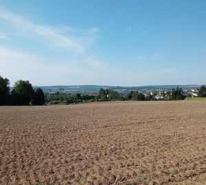 Balade dans les Ardennes et Bois de Ville - Saint-Laurent - 3