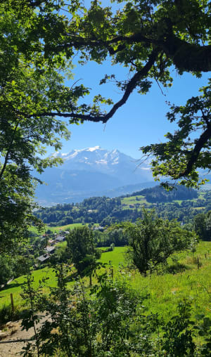 Balcon sur le Mont Blanc depuis Cordon et village alpin - Cordon - 32