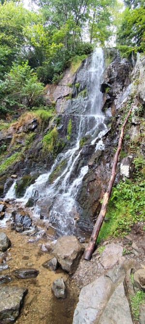 Cascade du Hohwald en allé et retour - Le Hohwald - 6
