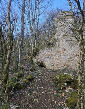 Le Bois de Mancey, par le col de Navois - CATH - 8