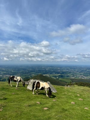 Les sommets de l'Amezketa et du Mondarrain - Itxassou - 8