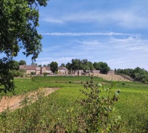 Givry et sa petite randonnée - Givry - 2
