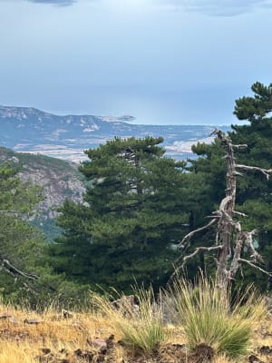 Massif de Bonifatu et virée forestière à l'île de beauté - Calenzana - 2