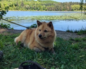 Fallavier, le lac et son château. - Vilefontaine - 6