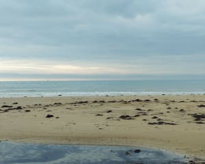 La Pointe d'Agon - Agon-Coutainville - 9