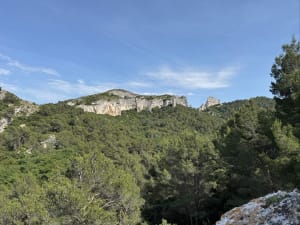 Le lac du Peirou et le Mont Gaussier par le sentier des échelles - Saint-Rémy-de-Provence - 18