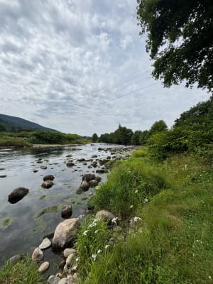 Balade à l'étang de la Prairie Vouau - Saint-Nabord - 5